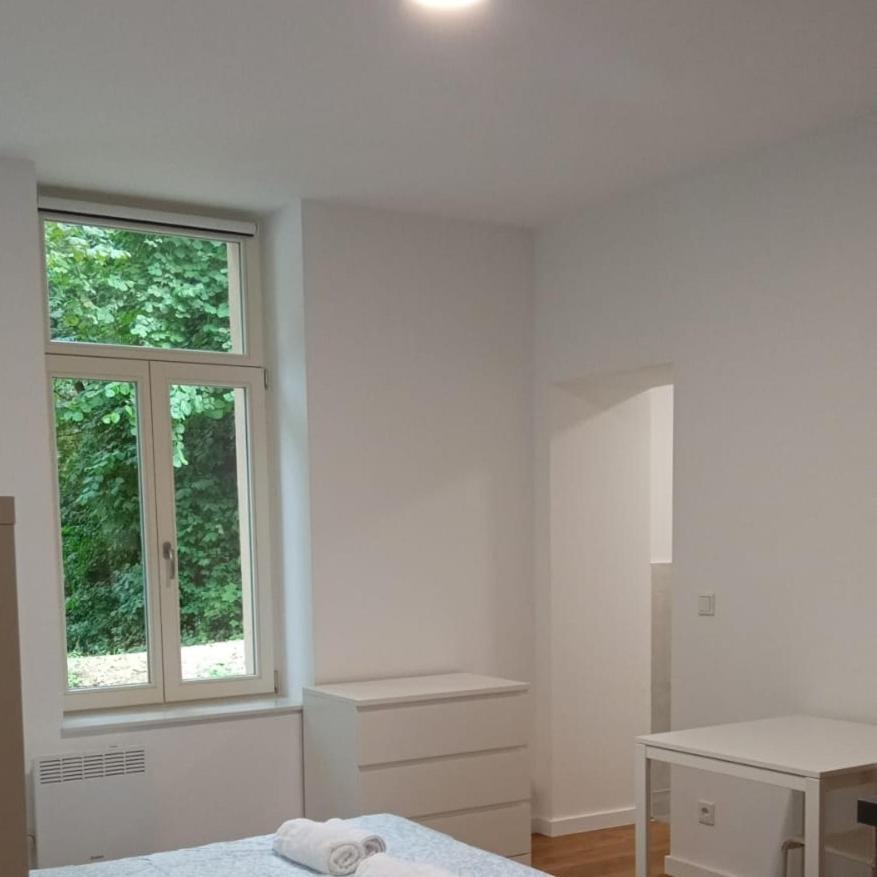 Studio Near To The City Centre لوكسمبورغ المظهر الخارجي الصورة
