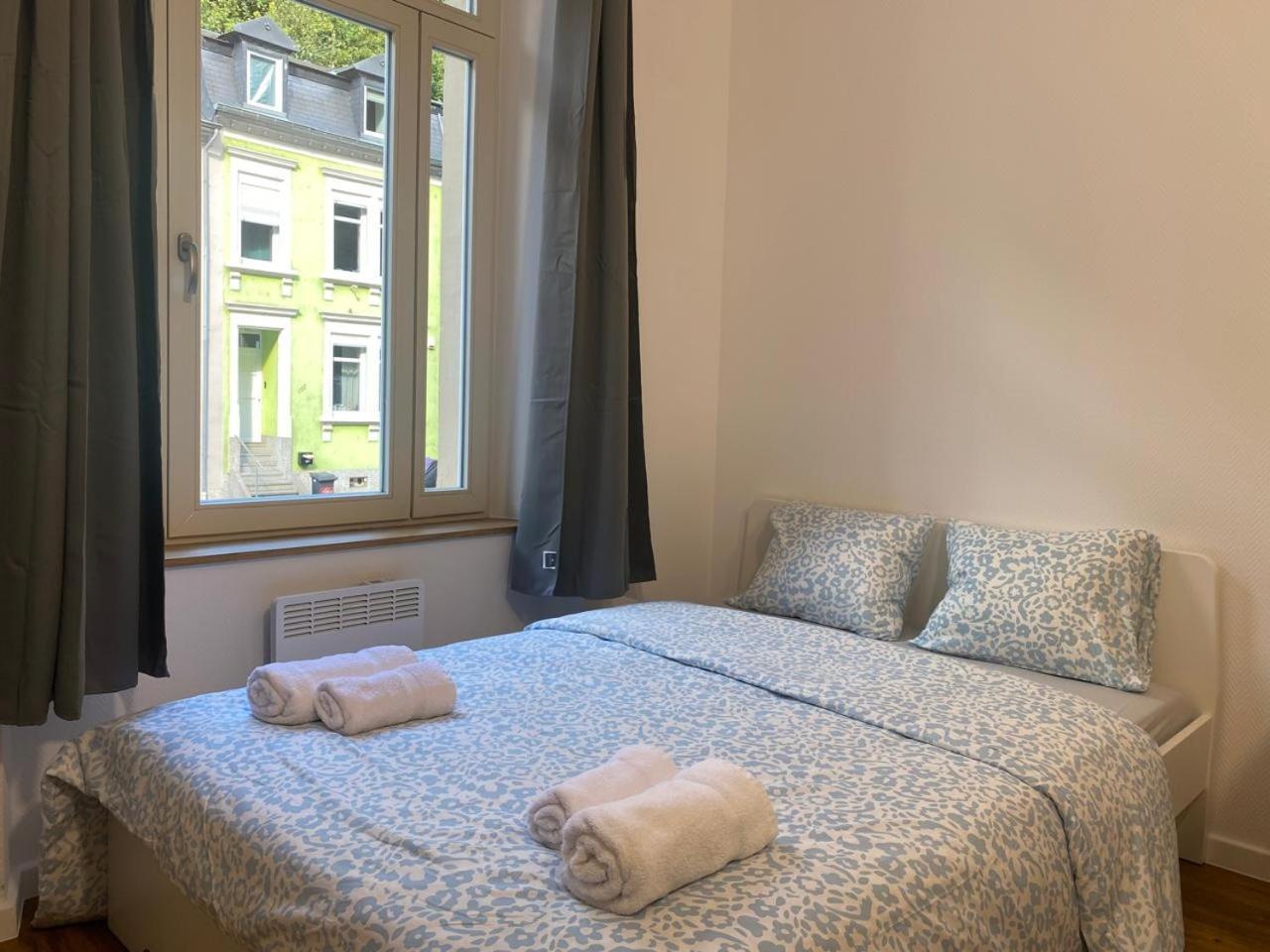 Studio Near To The City Centre لوكسمبورغ المظهر الخارجي الصورة